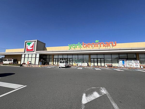 ヨークベニマル栃木平柳店まで約759m（徒歩10分）