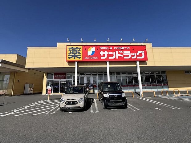 サンドラッグ 平柳店まで約1070m(徒歩14分)
