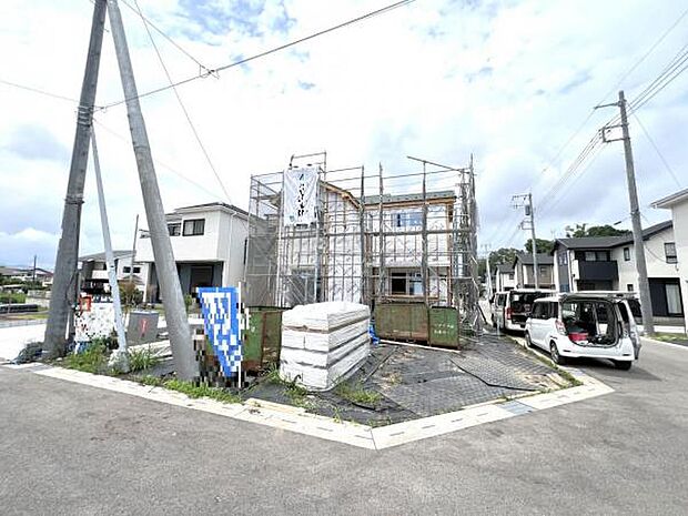 現地写真です。