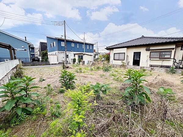 北東から南西に向けて撮影した画像です。