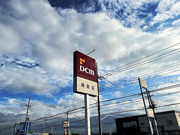 DCM 陽東店まで約1130m(徒歩15分)