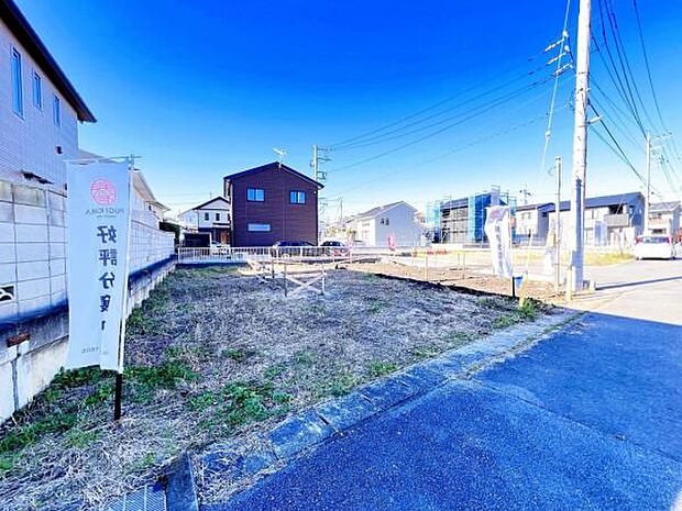 現地写真です。