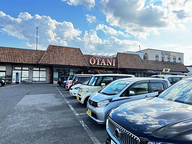 フードオアシスOTANI 戸祭店まで約740m（徒歩10分）
