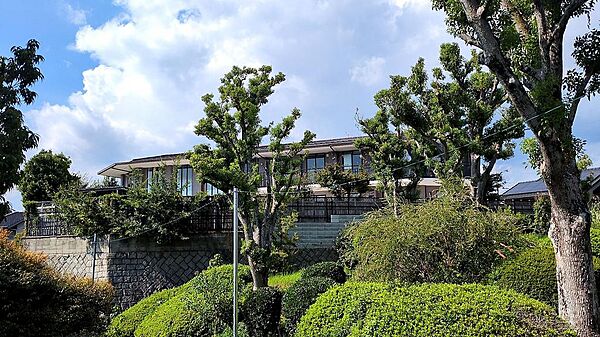 外観：327001689699