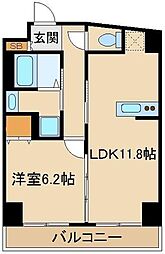 セリーン志村 5階1LDKの間取り