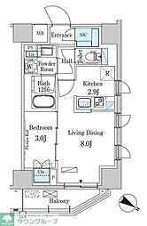 パークアクシス赤羽南 6階1LDKの間取り