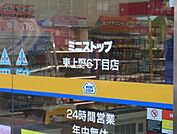 ミニストップ東上野6丁目店 徒歩8分。コンビニ 580m