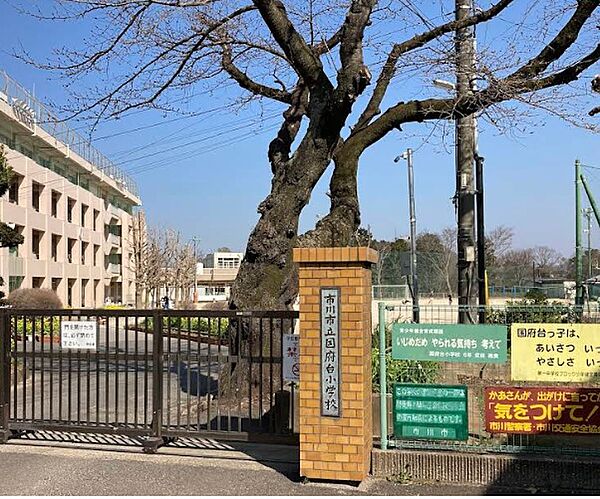 国府台小学校　約607ｍ