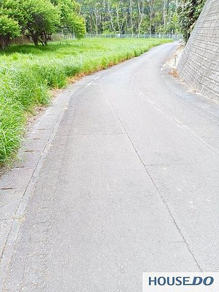 前面道路の様子です。