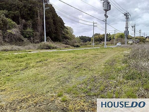 前面道路沿いの敷地の様子です。電柱が敷地際にあり、電力引込の位置を確認いただけます。