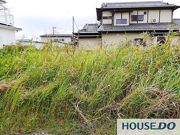 現況は更地に近く、すぐに計画を進めやすい土地です。