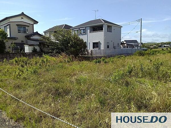 雑草が生い茂った状態の敷地です。周辺には住宅が並びます。