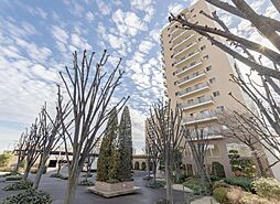 ソル・シエーナ川口