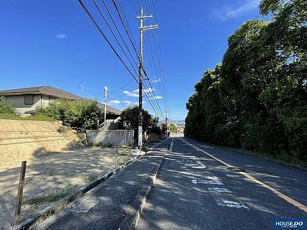 B号地