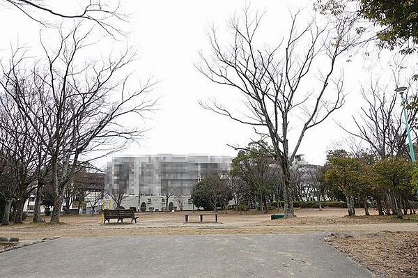 古江公園 700m