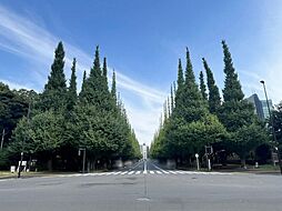 周辺施設の画像