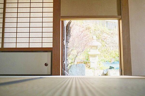 柔らかな光が室内にやさしい陰影を落とします。
