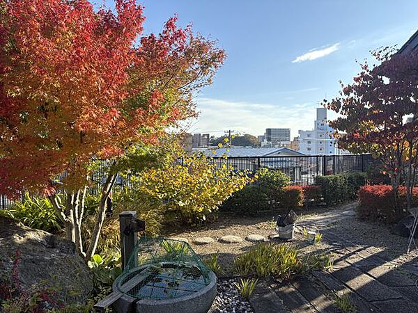 色鮮やかな紅葉が庭を彩り、四季の美しさを存分に味わえる空間。開けた眺望と調和した植栽が、日常に潤いと安らぎをもたらします。季節ごとに表情を変える、贅沢な庭景色です。