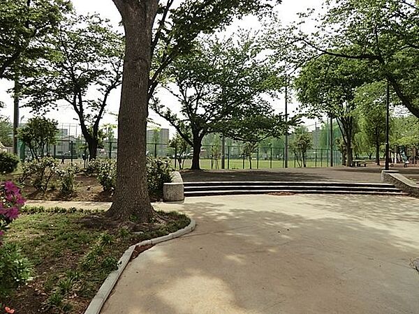 周辺を拡大表示