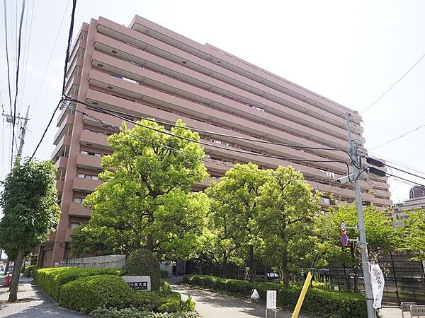 外観：313004870370