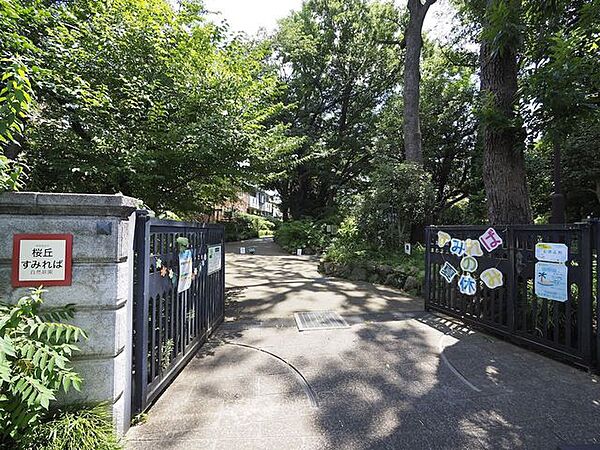 世田谷区立桜丘すみれば自然庭園 徒歩9分。徒歩2分。 670m