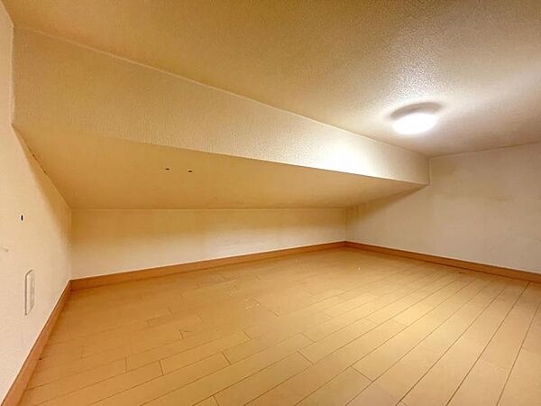 季節の衣服や使わない雑貨等をたっぷり収納できるロフト☆