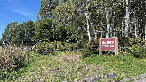 【峰の原高原こもれび広場】お子様も楽しめるアスレチックや、北アルプスの山並みを眺められる見晴らし台もあります。 470m