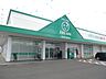周辺：ザグザグ白石店 510m