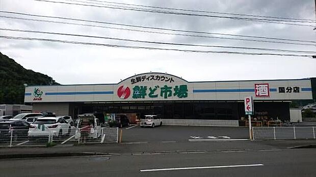 【デパート】鮮ど市場国分店まで1009ｍ