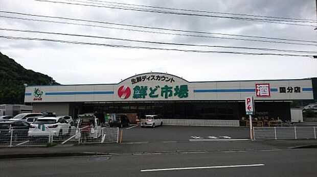 【スーパー】鮮ど市場　国分店まで600ｍ