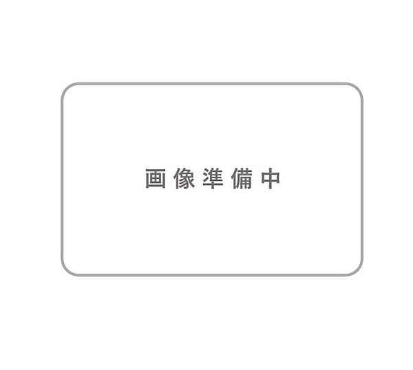 外観：313004648101