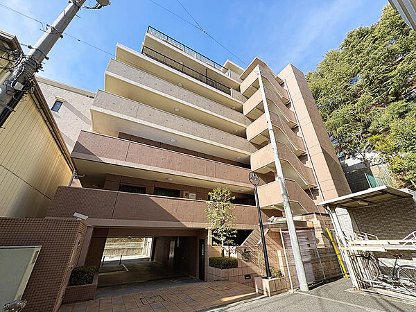 外観：313004493632