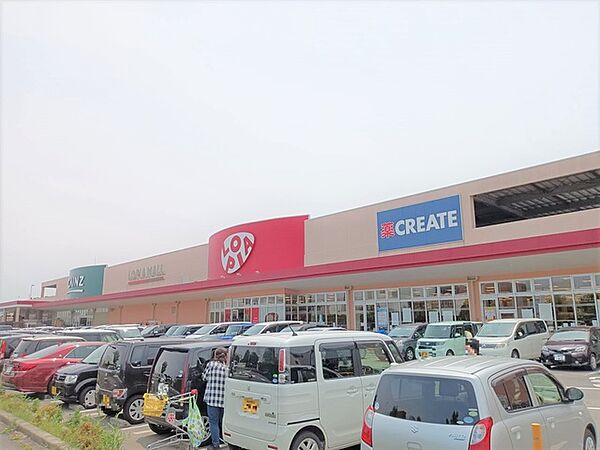 ロピア 小田原高田店（1170m）