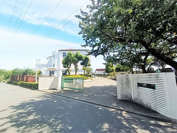 平塚市立旭陵中学校(1100m)