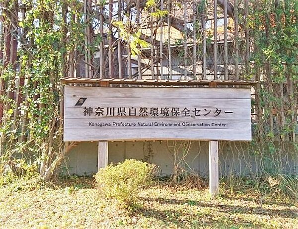 神奈川県自然環境保全センター（2110m）