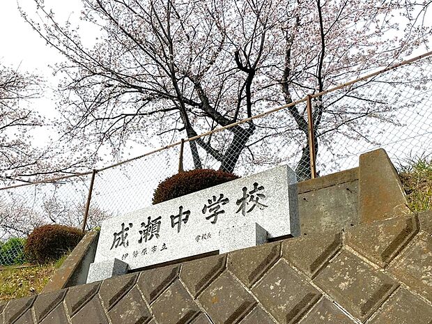 伊勢原市立成瀬中学校(1790m)