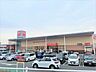 周辺：ベルク 伊勢原白根店（880m）