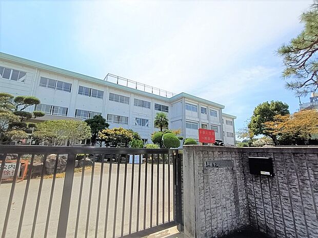 平塚市立金目小学校(490m)
