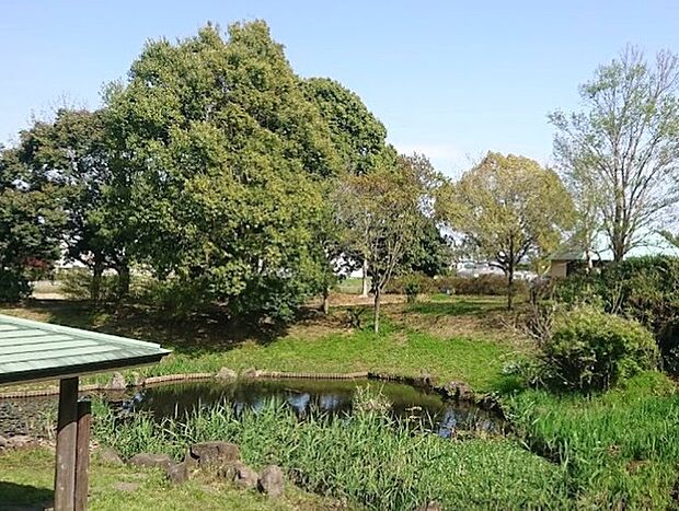 金目親水公園(1400m)