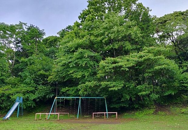 高麗山公園 子供の森(2950m)