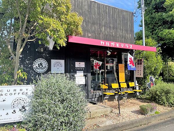 カルガモテラス　伊勢原ランチ（310m）