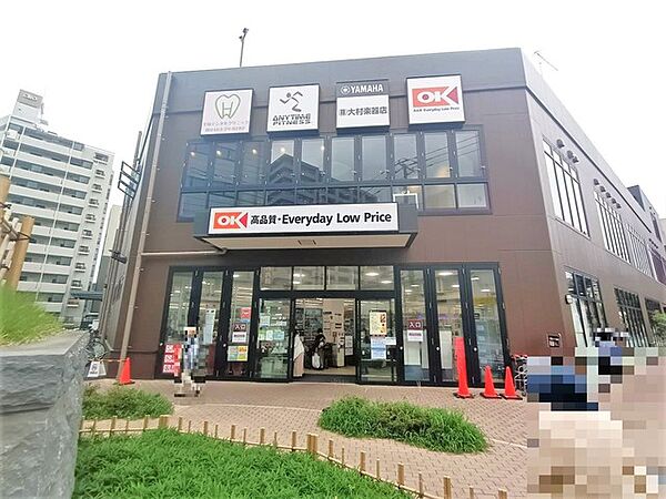 オーケー 平塚店（540m）