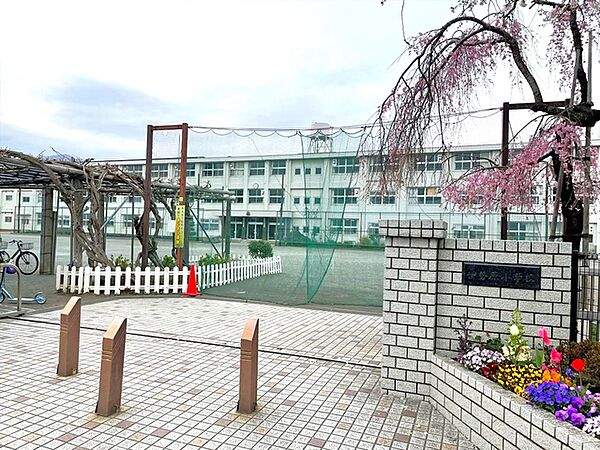 伊勢原市立伊勢原小学校（450m）