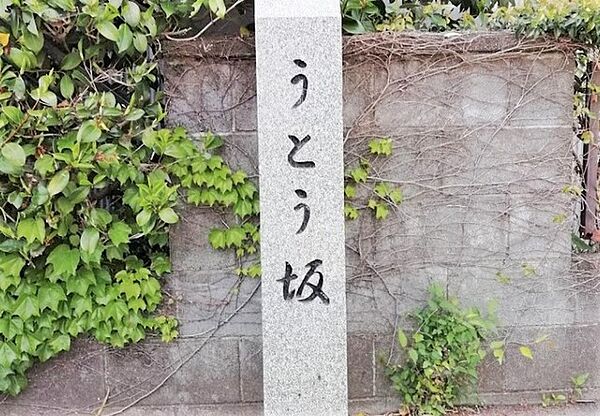 周辺を拡大表示