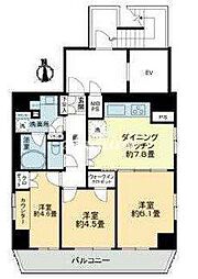 都営三田線 芝公園駅 徒歩5分の賃貸マンション 13階3DKの間取り