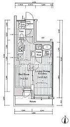 JR総武線 亀戸駅 徒歩11分の賃貸マンション 11階1LDKの間取り