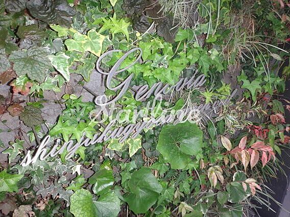 ジェノヴィア新宿御苑グリーンヴェール_その他_3