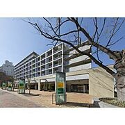 目黒駅より徒歩3分 6階 築25年6ヶ月の賃貸物件