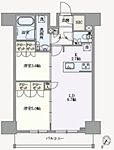 江東区塩浜１丁目 15階建 新築のイメージ