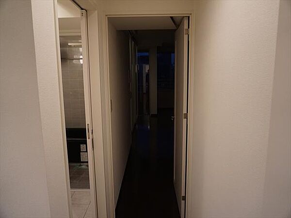 東京都千代田区二番町(賃貸マンション1LDK・4階・50.32㎡)の写真 その11
